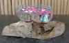 Product image 2 of the product “Driftwood with melted wide glass (Model 2 - wide opening) on top as plant container . In the sizes from 10 to 35cm ”